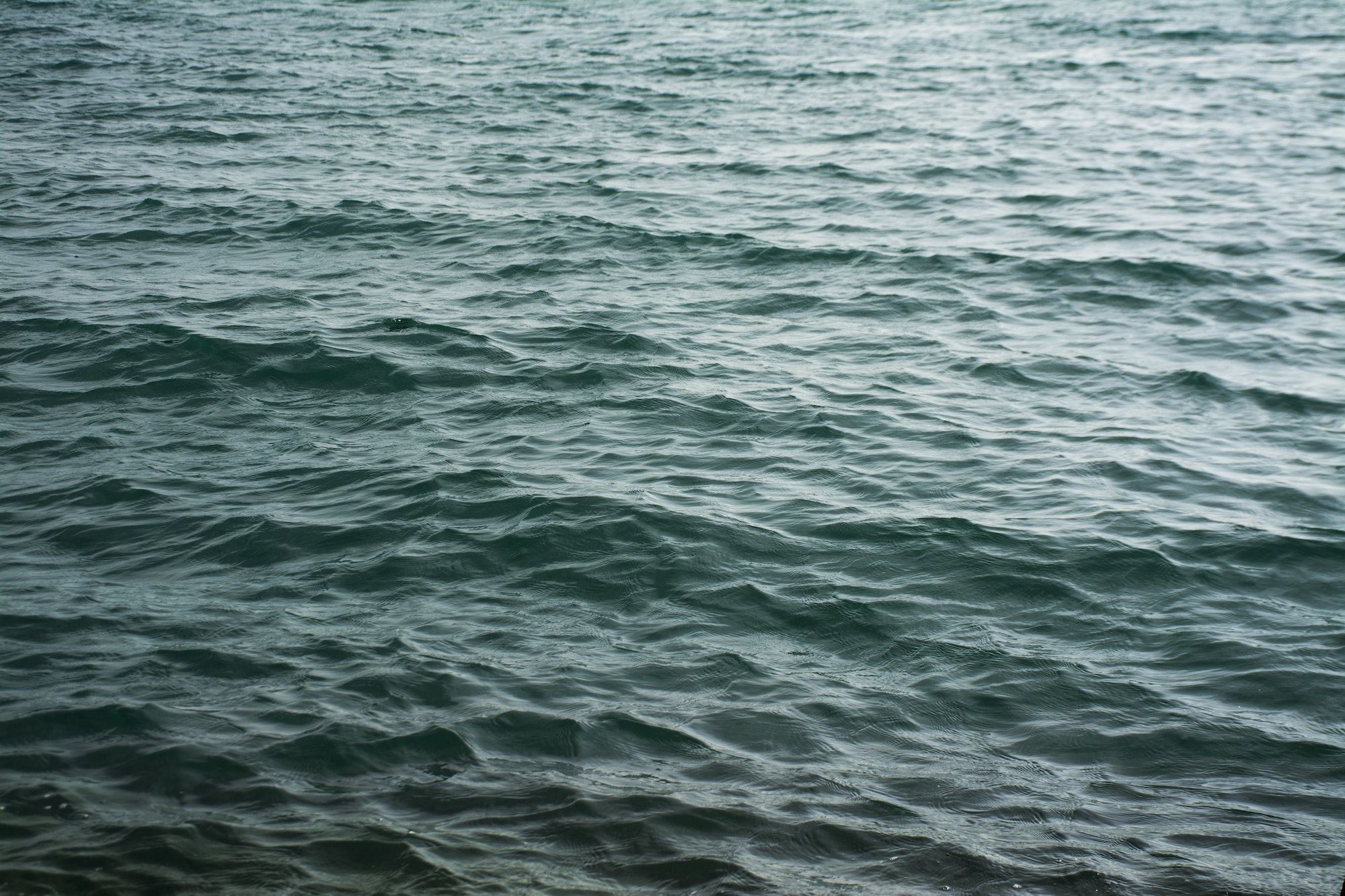 Blue Ocean